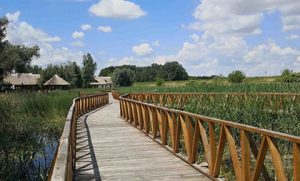 Things to do in Kopački Rit Croatia